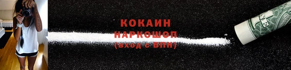 гашик Покачи