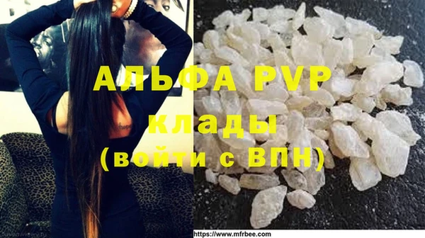 гашик Покачи