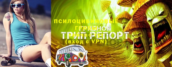 гашик Покачи