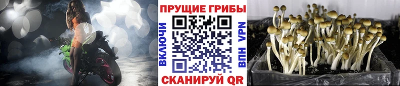 Галлюциногенные грибы Magic Shrooms  Ялта 
