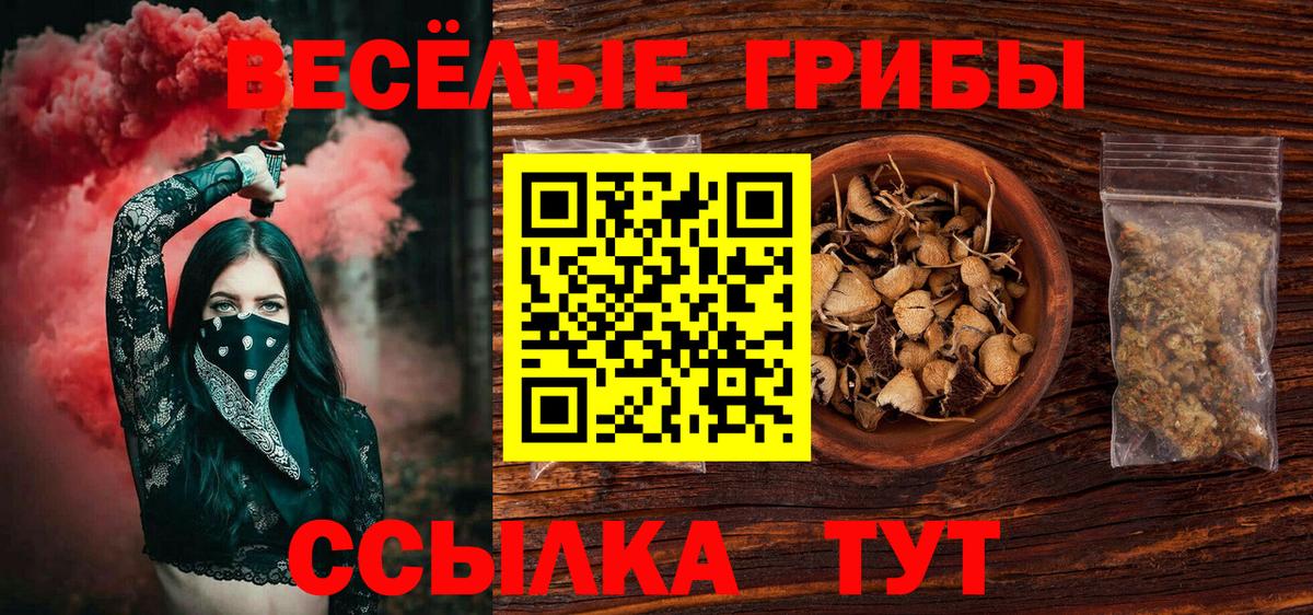 Ялта  Галлюциногенные грибы MAGIC MUSHROOMS  купить  цена  Вход с VPN 