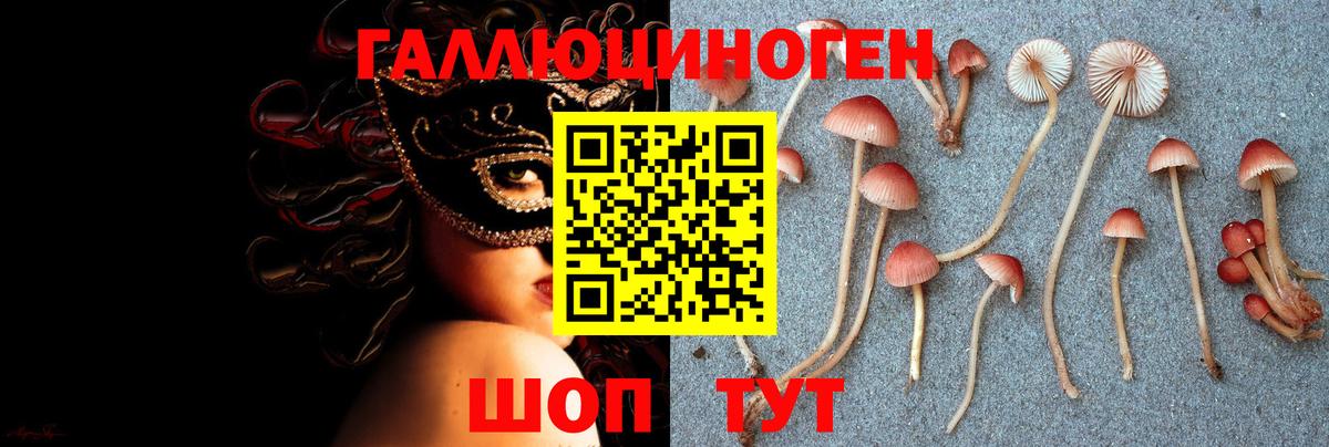 Галлюциногенные грибы GOLDEN TEACHER Ялта